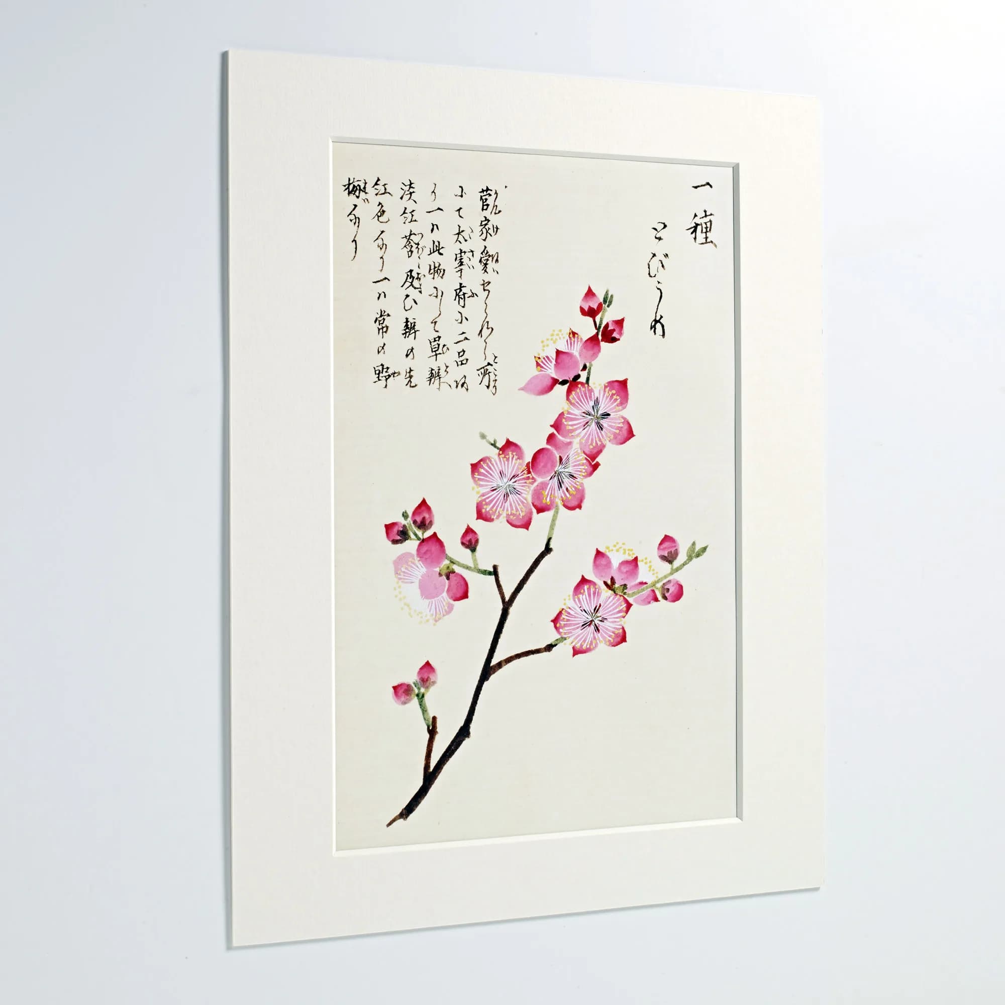 Passe-partout print bestellen voor wanddecoratie